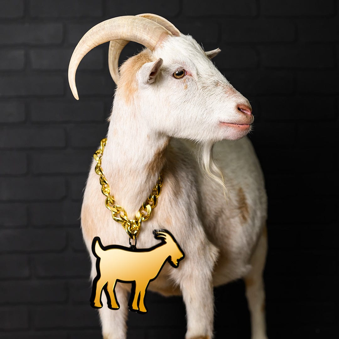 TrophySmack The GOAT Turnover Chain