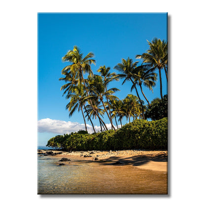 TrophySmack Tropical Palm - Metal Wall Art